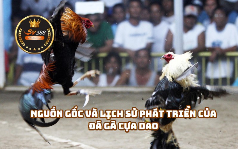 Nguồn Gốc Và Lịch Sử Phát Triển Của Đá Gà Cựa Dao