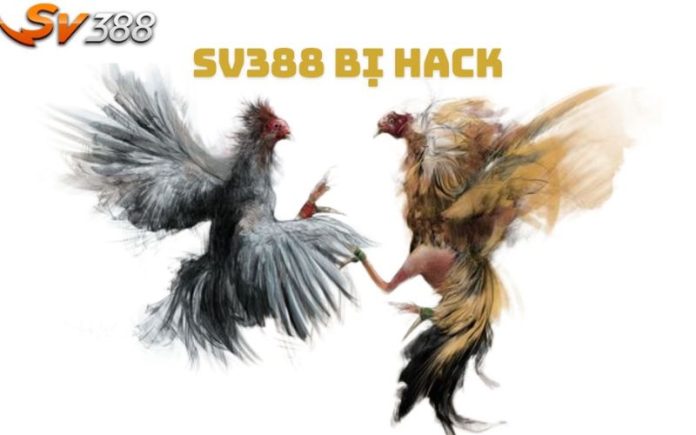 Thực hư tin đồn SV388 bị hack